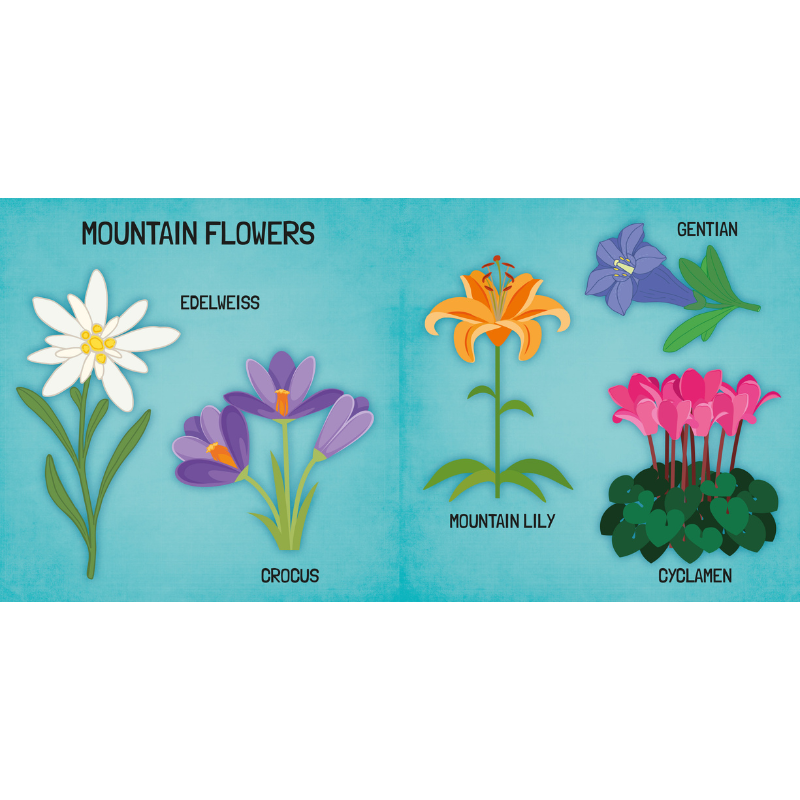 Sassi 3D Puzzle and Book Set - Learn Shapes Flowers, 40 pcs