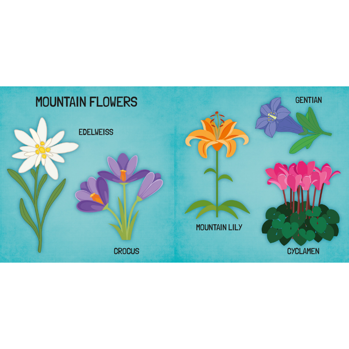 Sassi 3D Puzzle and Book Set - Learn Shapes Flowers, 40 pcs