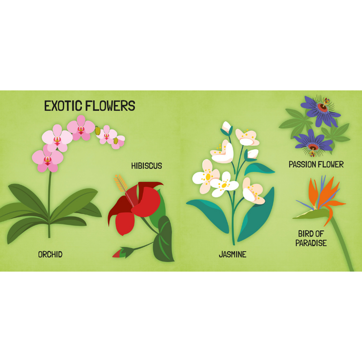 Sassi 3D Puzzle and Book Set - Learn Shapes Flowers, 40 pcs