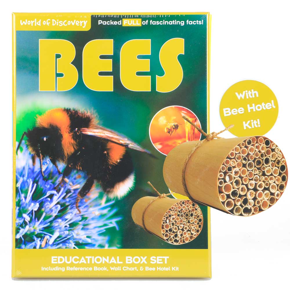 World of Discovery - Educational Construction Bees Hotel Kit