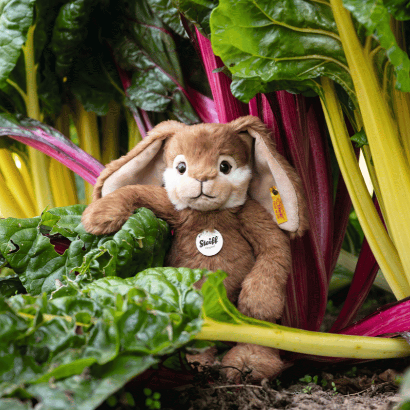 Steiff Bommel Rabbit, 28 cm
