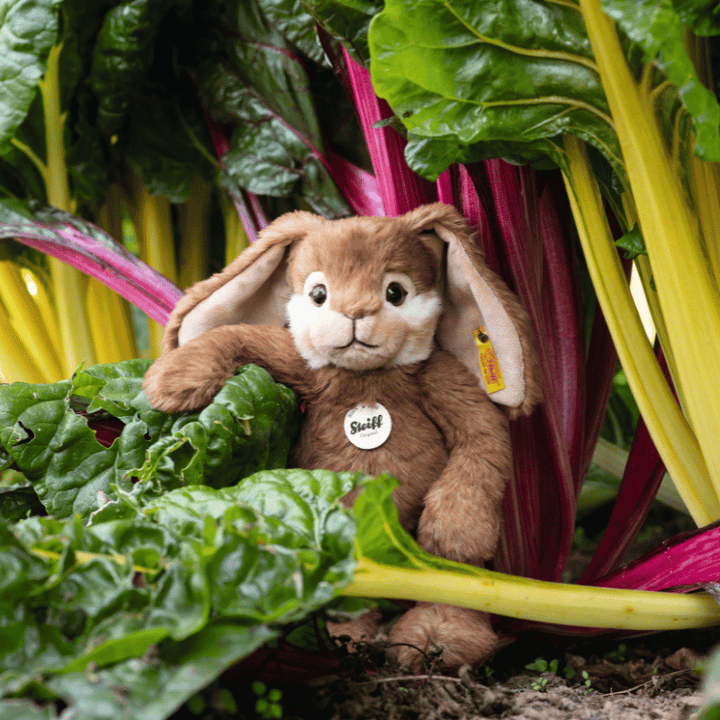 Steiff Bommel Rabbit, 28 cm
