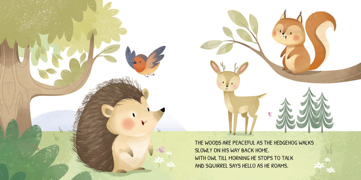 Sassi Board Book - Glow-In-The-Dark - The Woodland