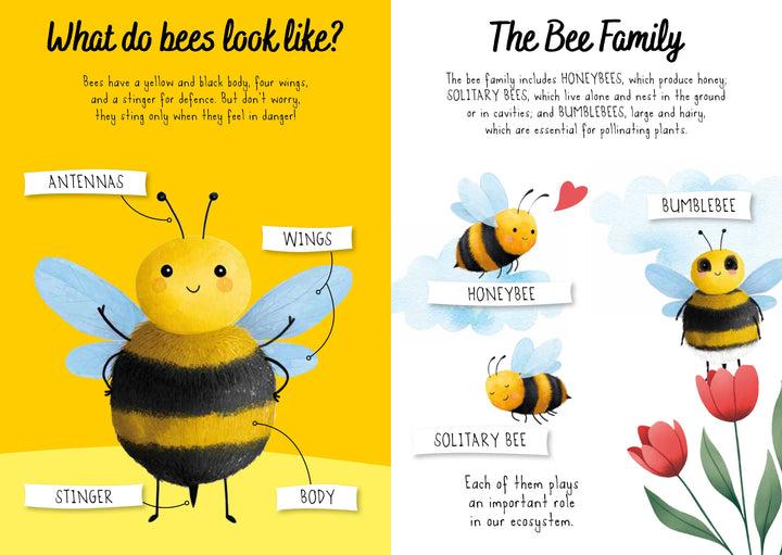 Sassi Magic Water Puzzle &amp; Book Set - Bees