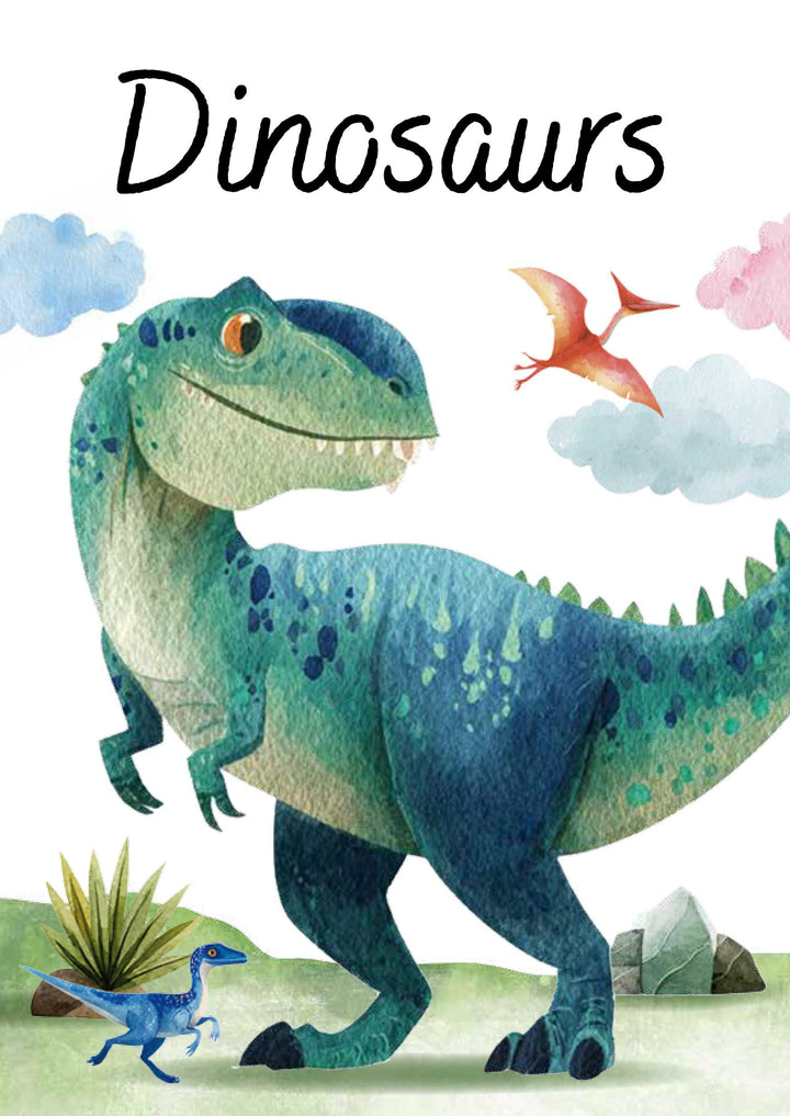 Sassi Magic Water Puzzle &amp; Book Set - Dinosaurs
