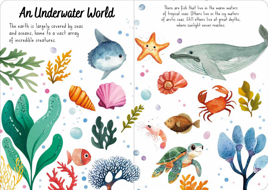 Sassi Magic Water Puzzle &amp; Book Set - The Sea