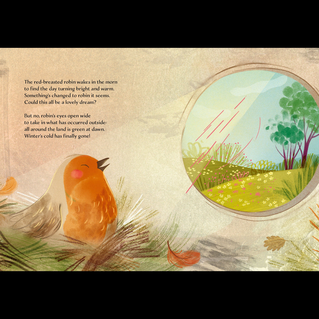 Sassi Story Book - Spring