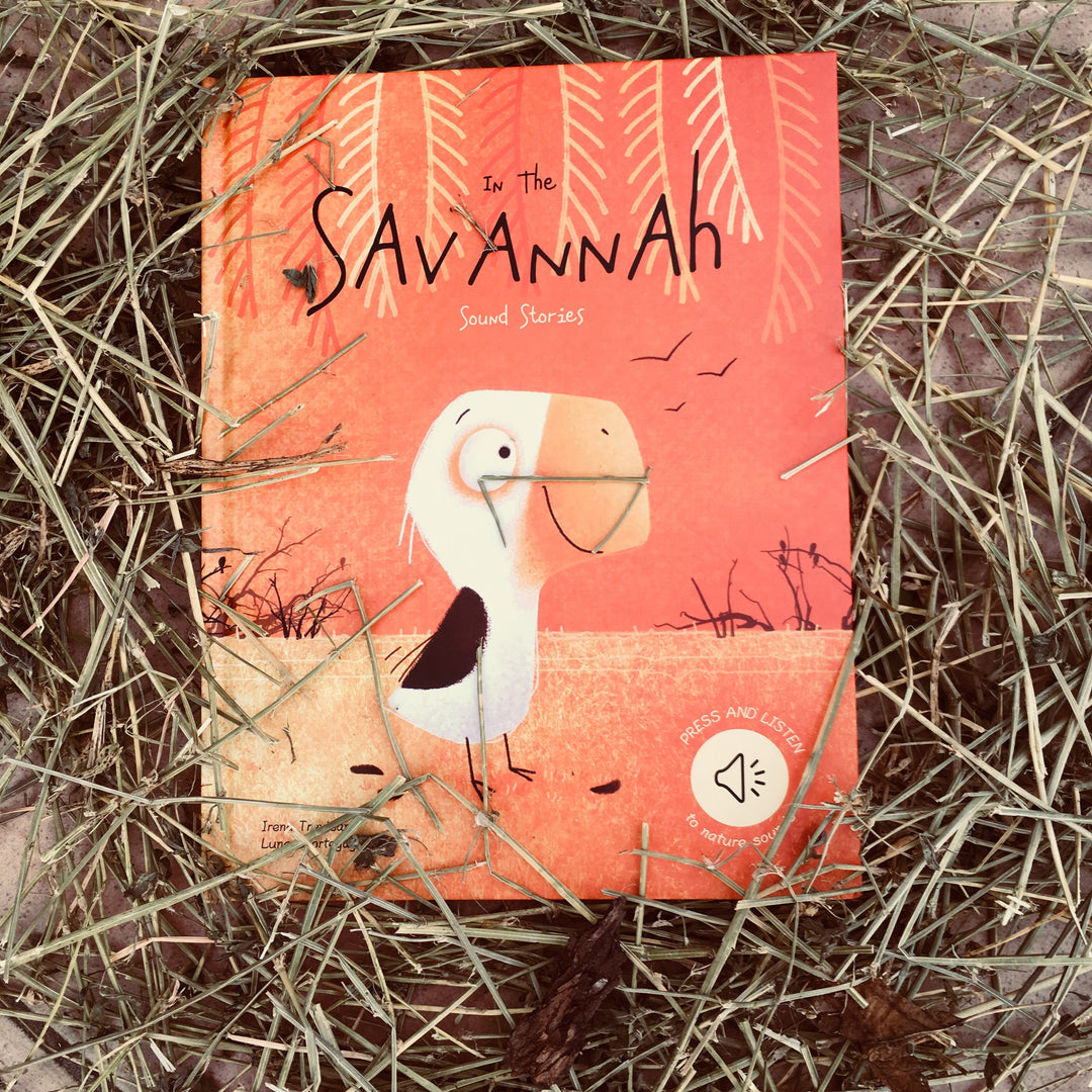 Sassi Sound Book - In the Savannah