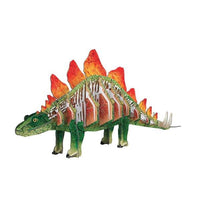 The Age of the Dinosaurs Stegosaurus 3D Model & Book Set