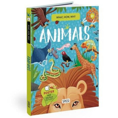 Sassi What How and Why Animals Book and Poster