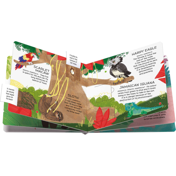 Sassi Games - Memory Matching - Animals to Save - Tropical Forests