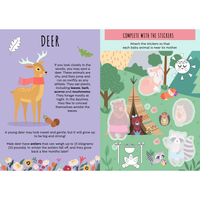 Sassi Stickers and Activities Book - The Forest