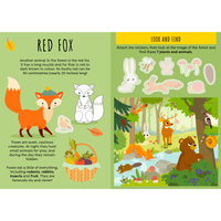 Sassi Stickers and Activities Book - The Forest