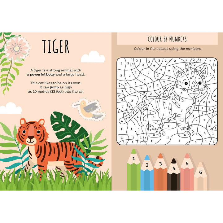 Sassi Stickers and Activities Book - The Jungle