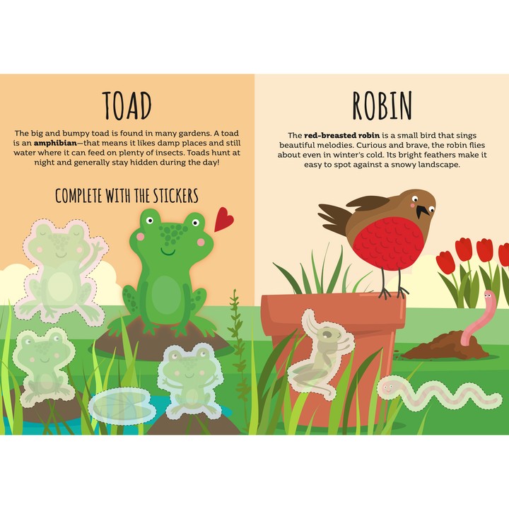 Sassi Stickers and Activities Book - The Garden