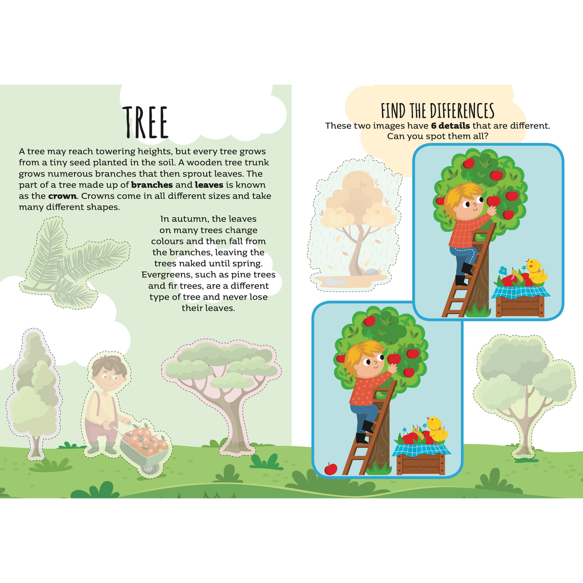 Sassi Stickers and Activities Book - Nature