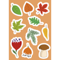 Sassi Stickers and Activities Book - Nature