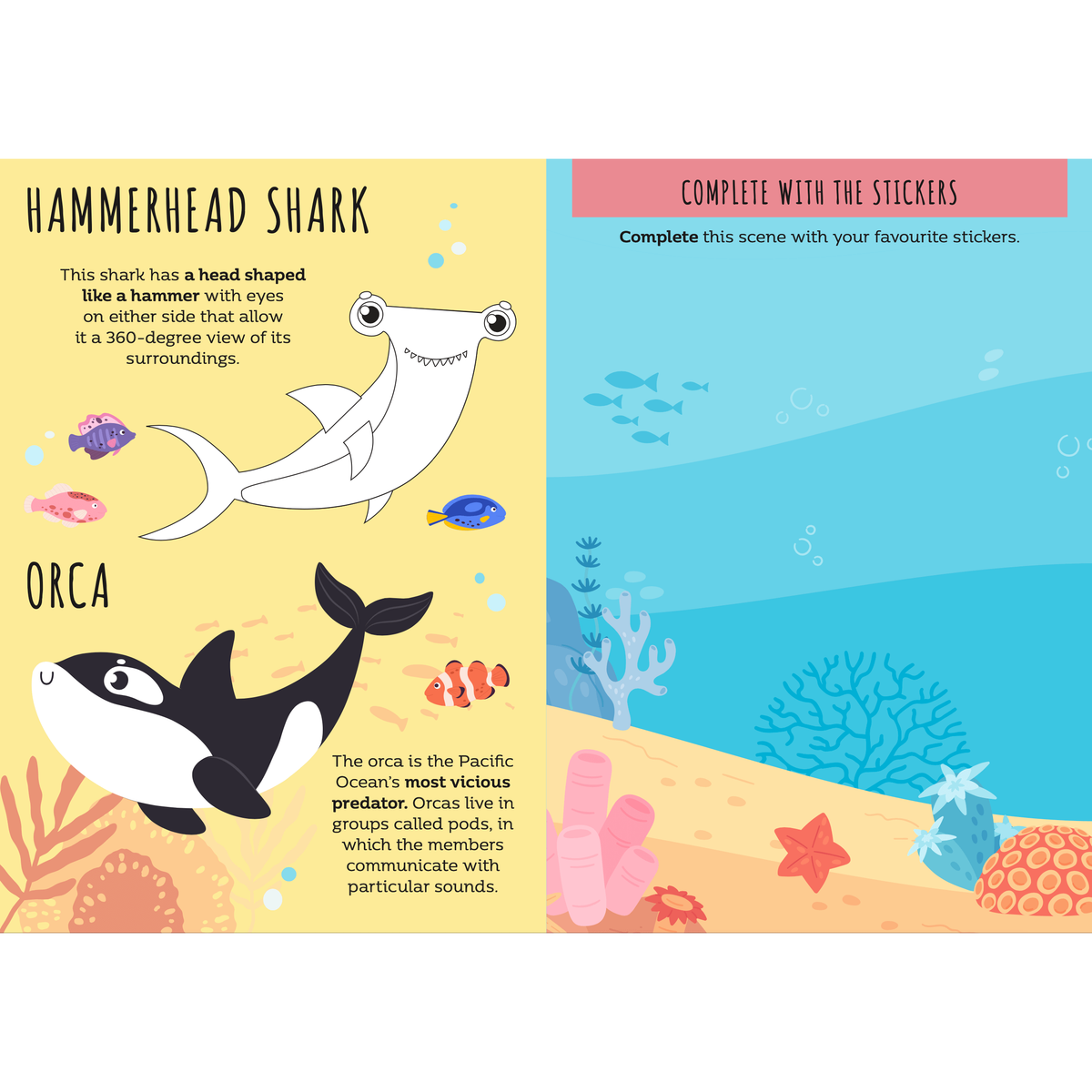 Sassi Stickers and Activities Book - The Sea