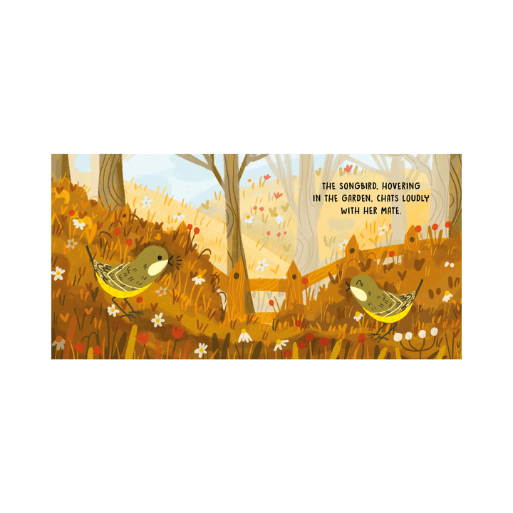 Sassi Board Book Sweet Sounds Stories - Birds