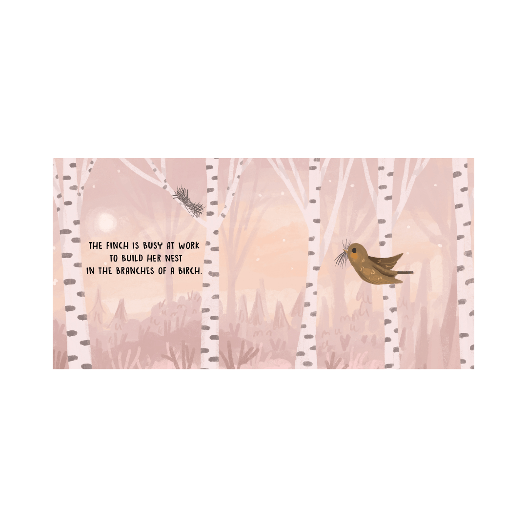 Sassi Board Book Sweet Sounds Stories - Birds