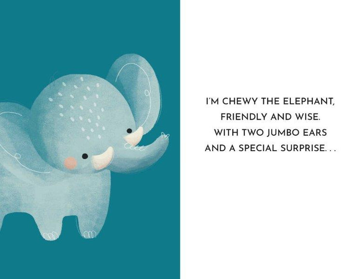 Sassi My First Library Board Books - Baby Animals (Lifestyle Edition)