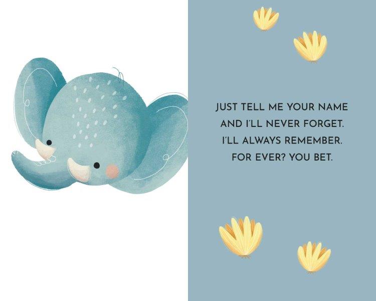 Sassi My First Library Board Books - Baby Animals (Lifestyle Edition)