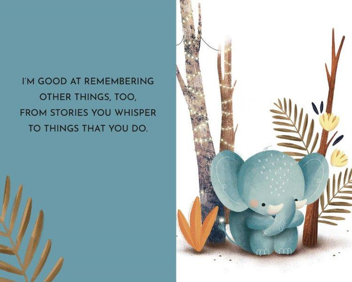 Sassi My First Library Board Books - Baby Animals (Lifestyle Edition)