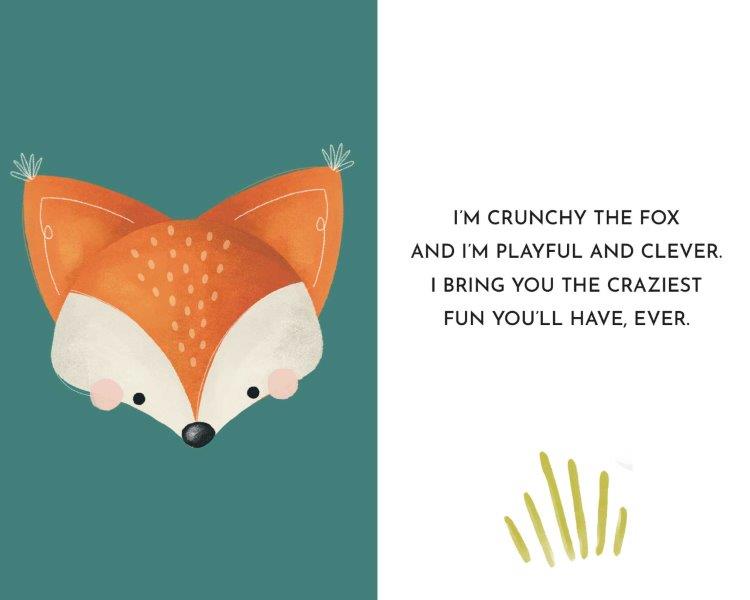 Sassi My First Library Board Books - Baby Animals (Lifestyle Edition)