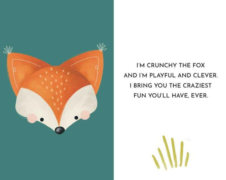 Sassi My First Library Board Books - Baby Animals (Lifestyle Edition)