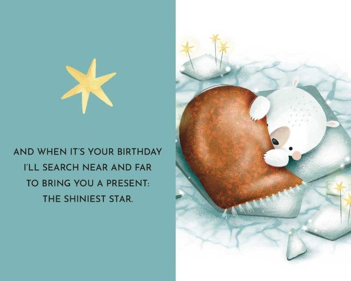 Sassi My First Library Board Books - Baby Animals (Lifestyle Edition)