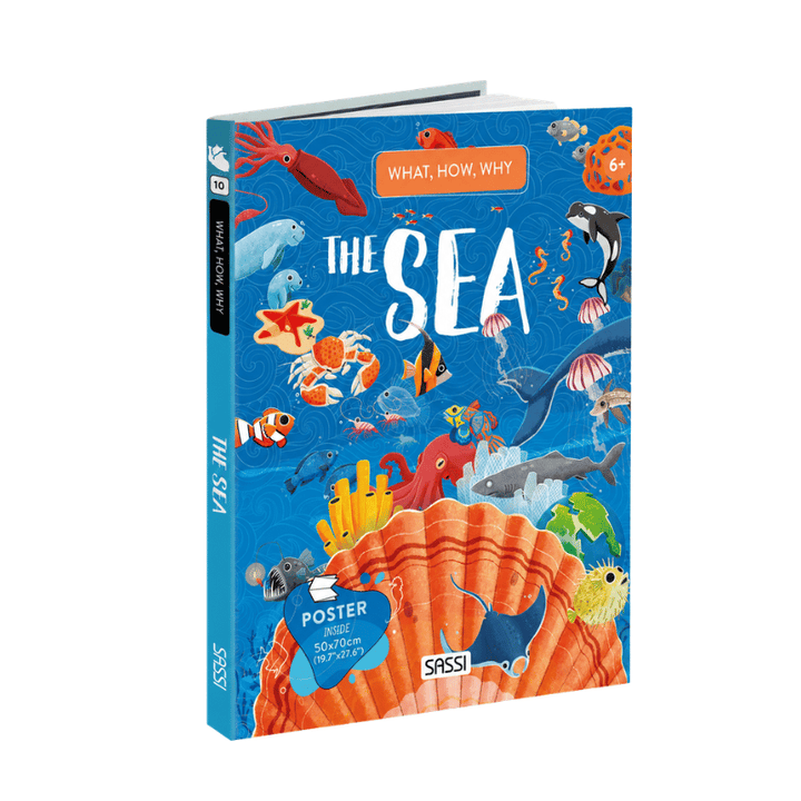 Sassi What How and Why The Sea Book and Poster