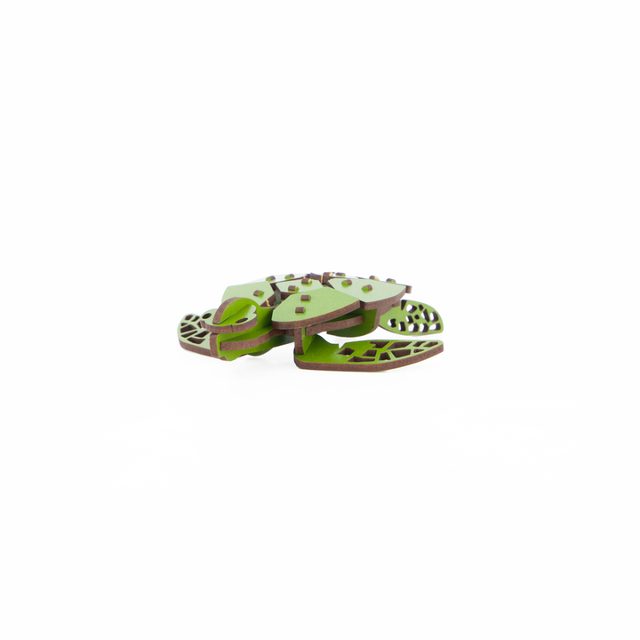 Little and Wood Construction Set Turtle A5