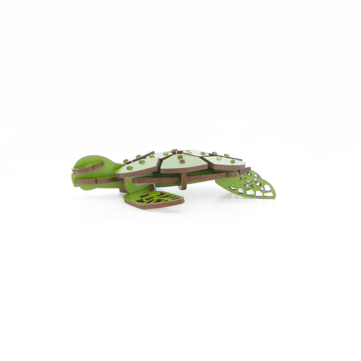 Little and Wood Construction Set Turtle A5
