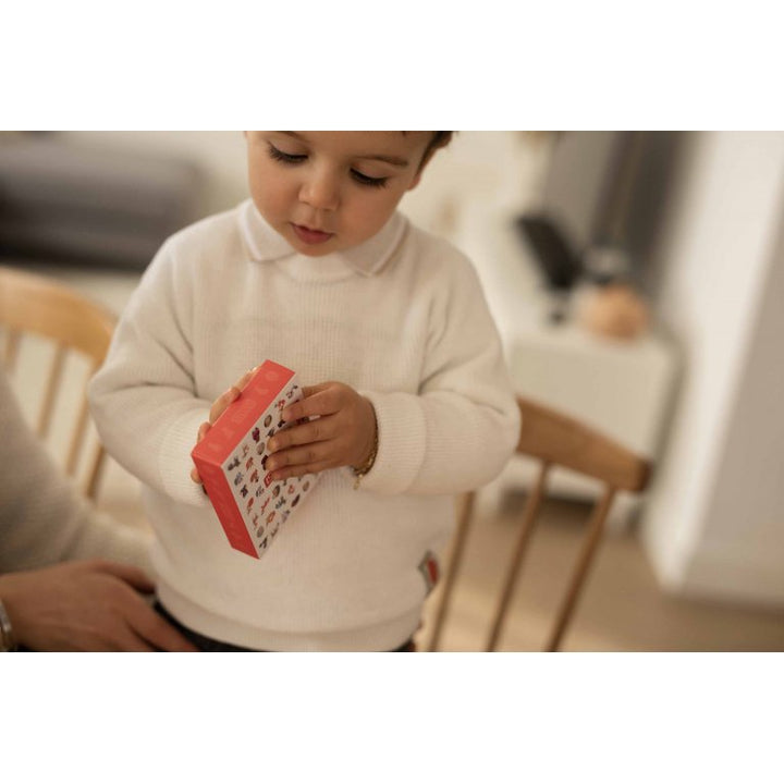 Sassi Games - Happy Families, The Forest