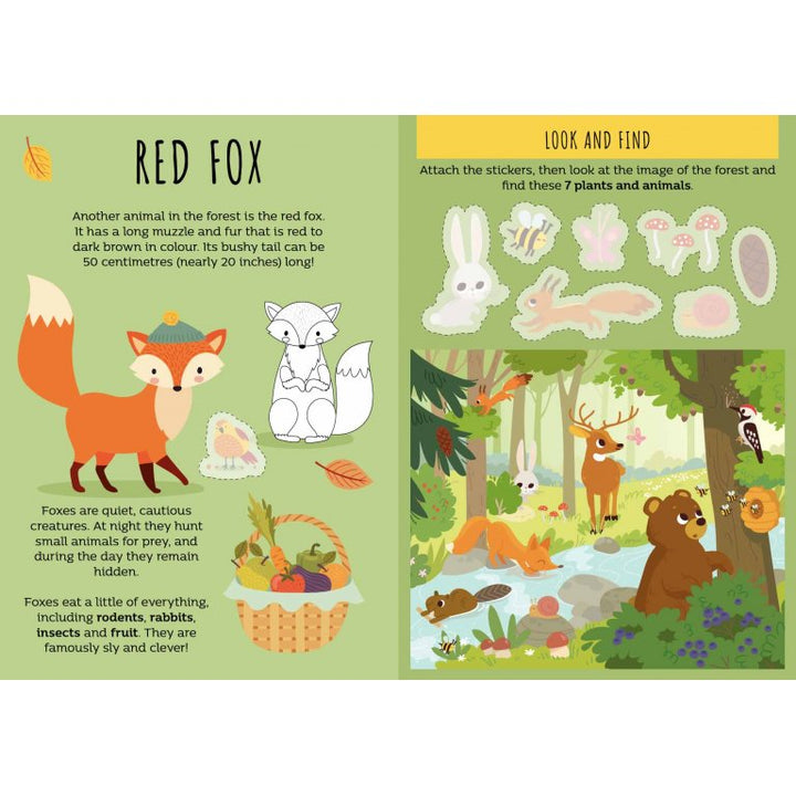 Sassi Games - Happy Families, The Forest