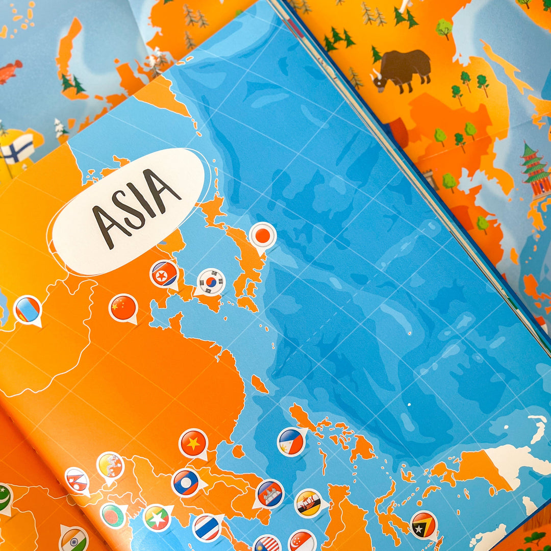 Sassi What How and Why Flags Book and Poster