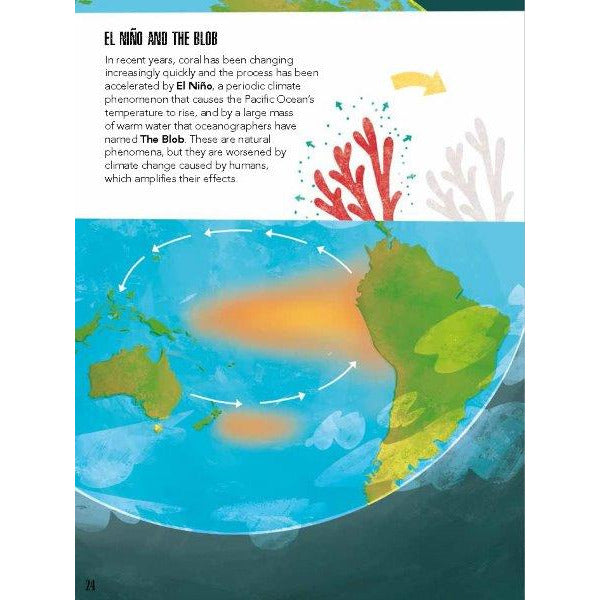 Sassi Save the Planet - The Coral Reef Puzzle and Book Set, 220 pcs Default Title