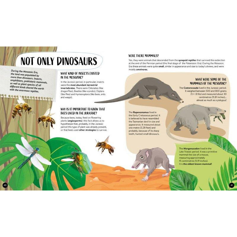 Sassi Fact Book Dinosaurs with bounus and Poster Default Title